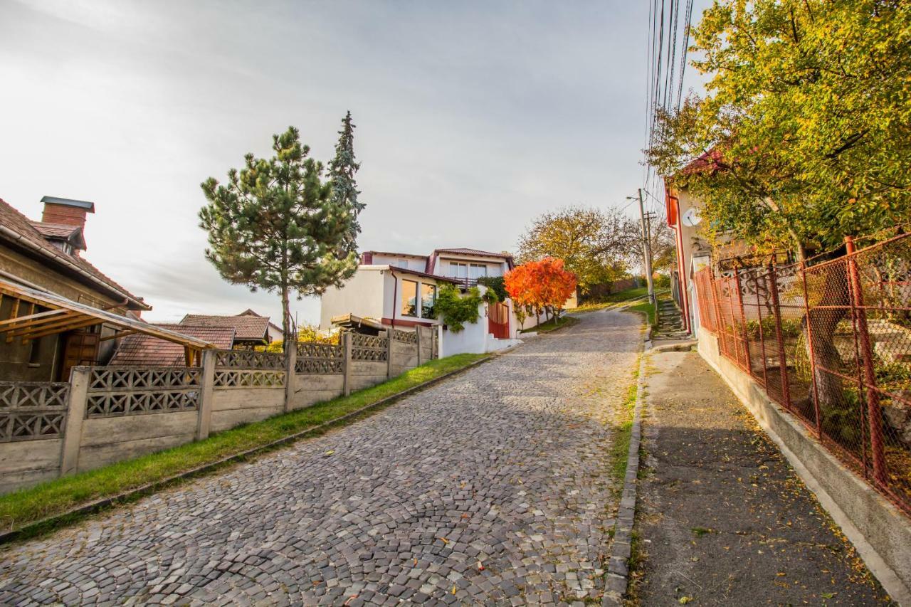 Geppetto'S Studio Brasov Apartment Bagian luar foto